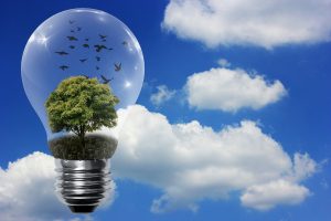 environmental and energy translation
